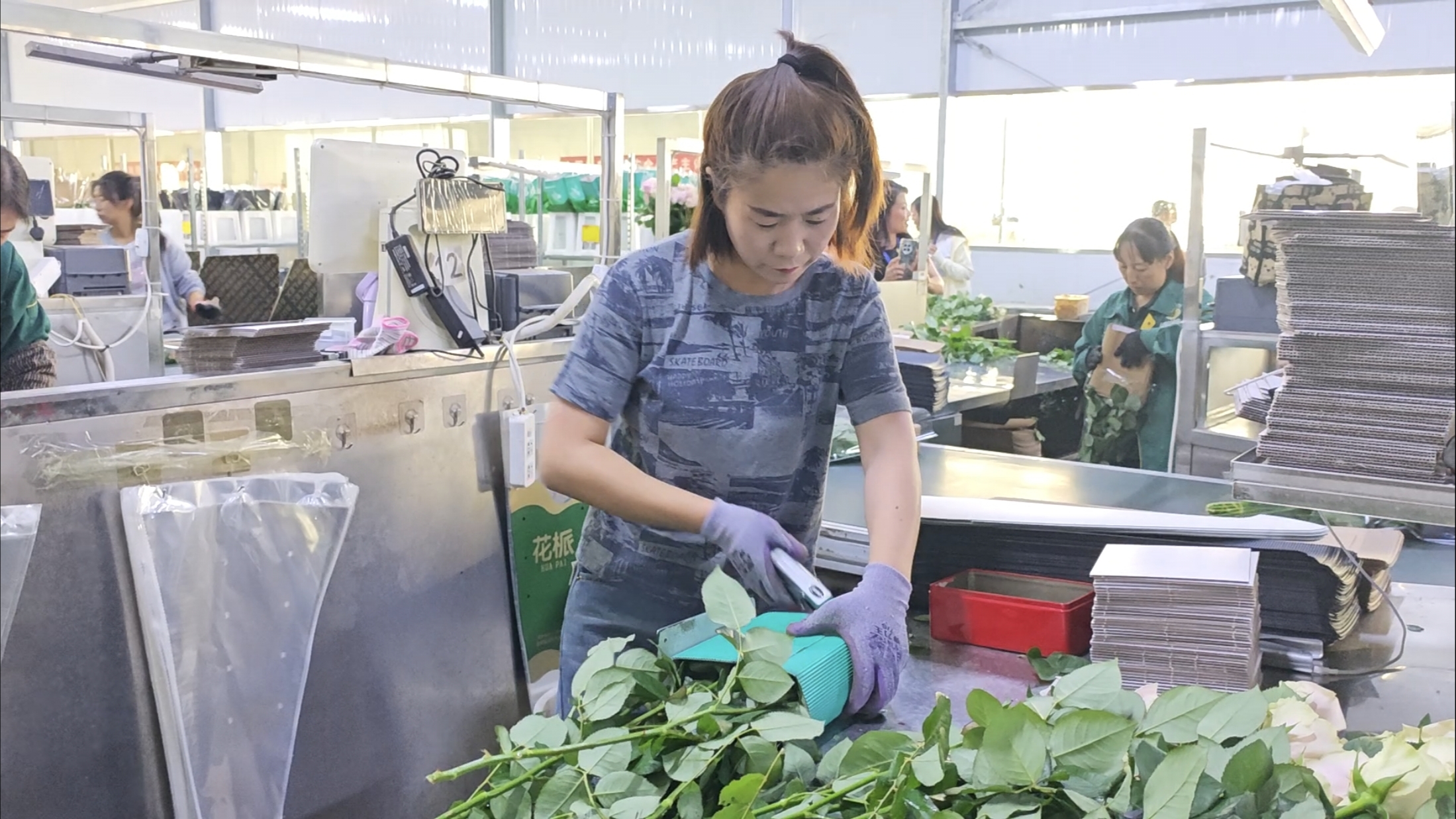 蘭州新區：智慧溫室育玫瑰 富民強村展新顏_fororder_微信圖片_20250606103942
