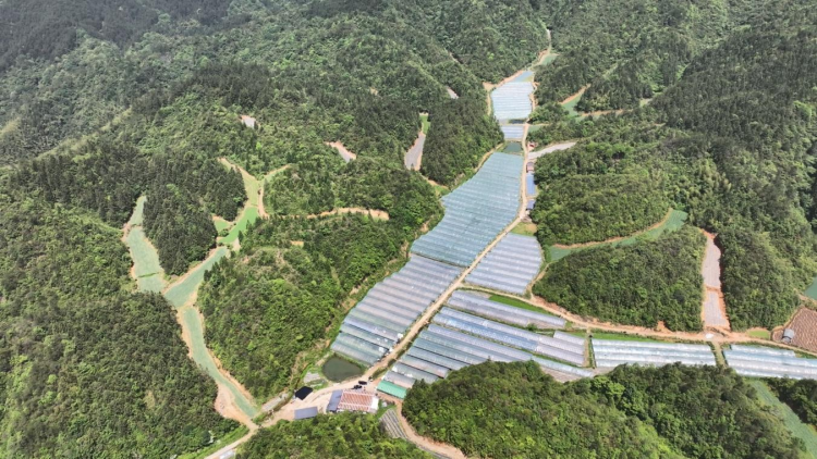 荒坡變 “金坡” “頭雁”帶頭人王鎮的藍圖美景_fororder_圖片3
