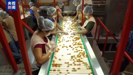 美墨“番茄協議”將到期 美經銷商：關稅將導致番茄漲價