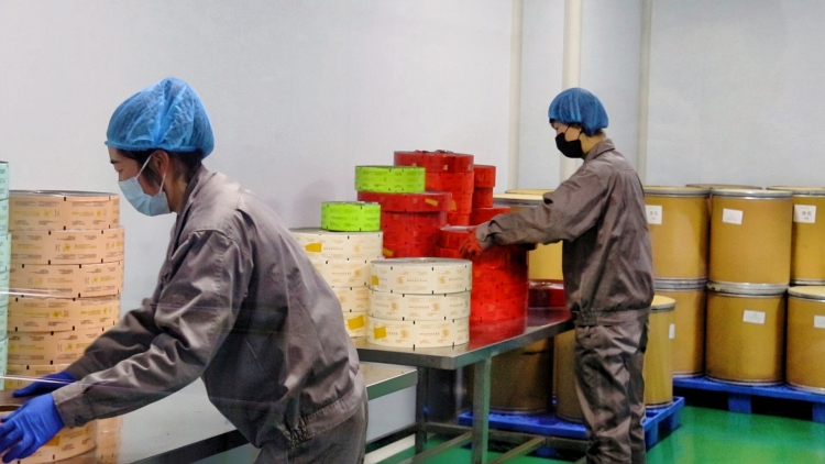 “千年藥鄉”岷縣：從田間採挖到車間生産，中藥材産業年産值超110億_fororder_微信圖片_2025-10-22_144956_085