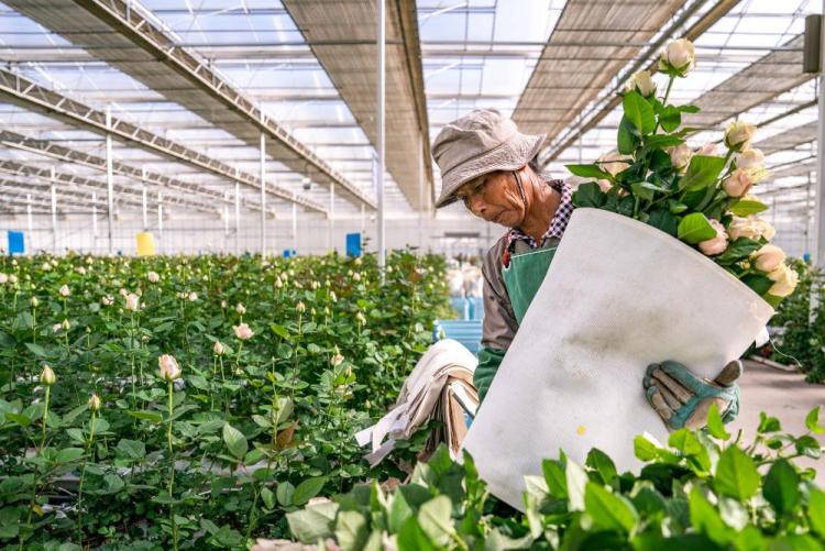 時政微觀察丨非凡“十四五”，民生答卷有厚度更有溫度
