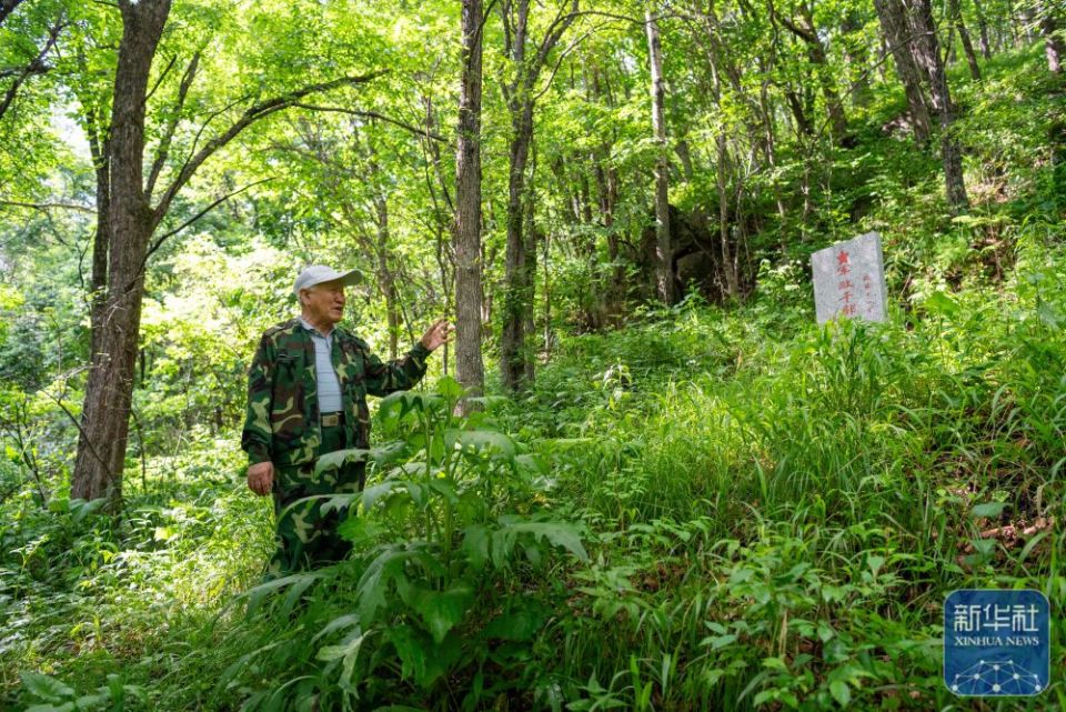 新華全媒＋丨“一座七星山 半部抗聯史”——探訪七星砬子抗聯密營遺址