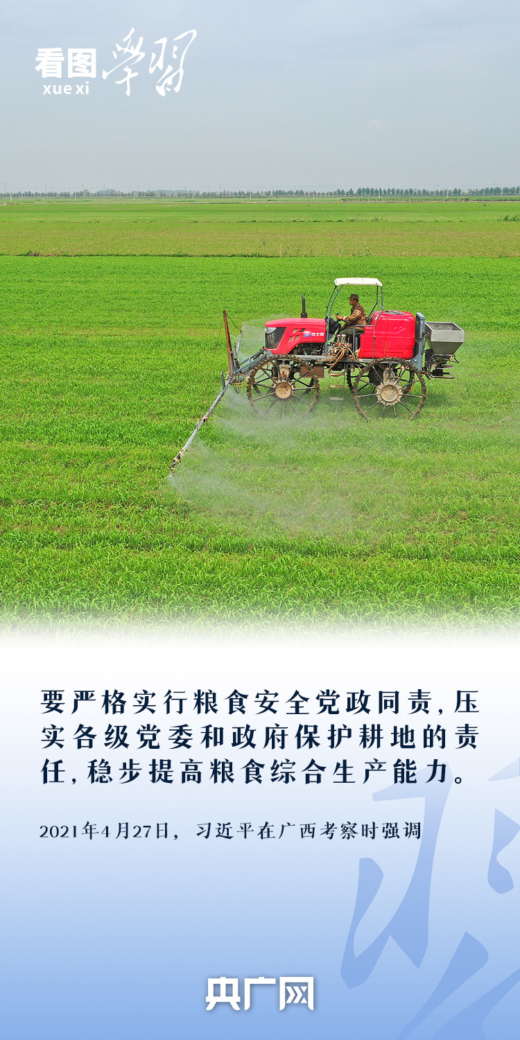 看圖學習丨“守住耕地這個命根子” 總書記心繫耕地保護