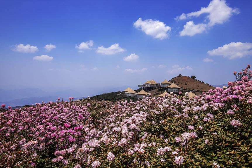 Opening of the 2025 Liupanshui Summer Retreat Season — China’s Cool Capital_fororder_圖片7