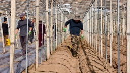 天水市武山縣復工復産掀熱潮