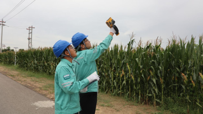 "Village-Grid Co-construction" Guarantees Power Supply for Autumn Harvest and Sowing