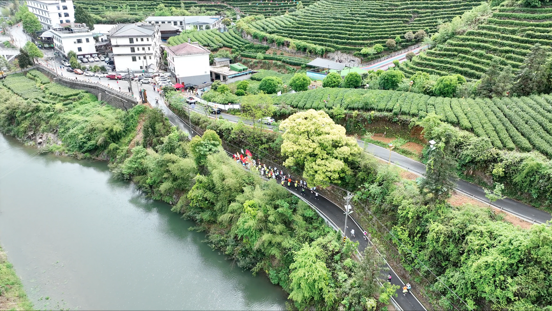 “奔跑吧·邵陽”全民健身跑（洞口站）暨第二屆洞口雪峰茶推廣季活動啟動_fororder_圖片3