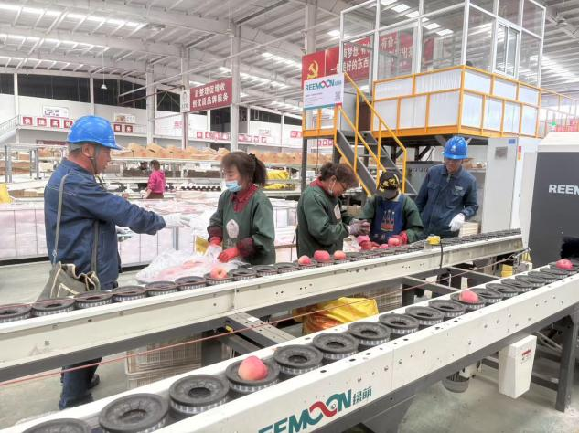 State Grid Shaanxi Electric Power Company Drives High-Quality Local Economic Development_fororder_圖片4