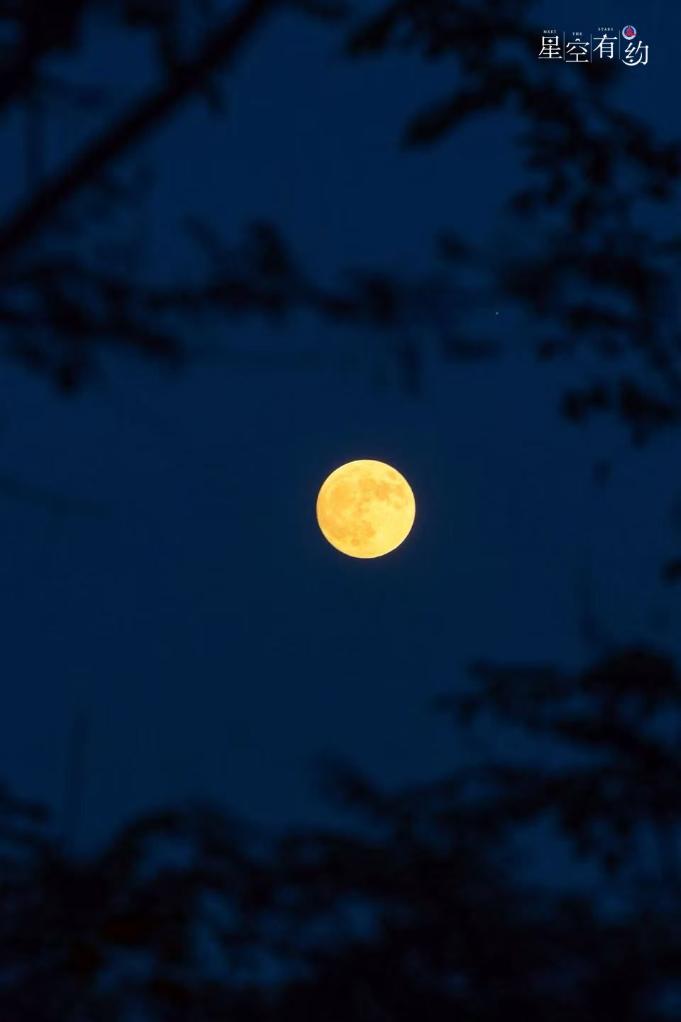 星空有約丨10月“星空劇場”收視指南新鮮出爐