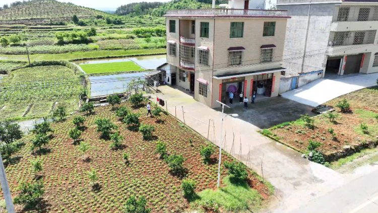 湖南洞口縣盤活“方寸閒地” 扮靚“美麗庭院”_fororder_圖片3