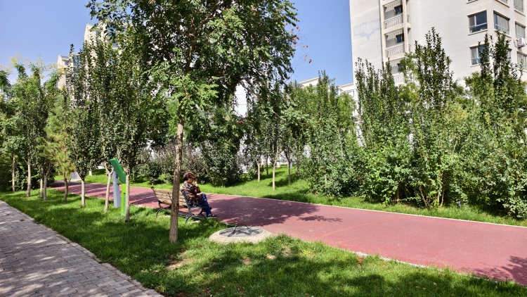 金昌金川區：南京路帶狀公園建成投用 城市綠廊串起民生幸福_fororder_1