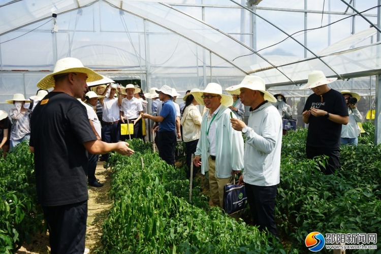 湖南省園藝學會2025年學術年會在邵陽舉行_fororder_13