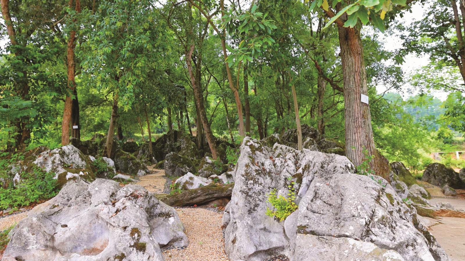 留住綠水青山 造出金山銀山——隆回縣生態“馬拉松”跑出現代文明新標杆_fororder_51639_e38c2b04-6bb3-4a48-aeed-23e91caeed3c_l