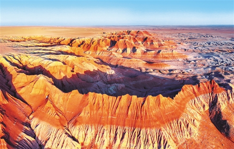 蘇尼特右旗：紅跡草原映初心_fororder_4304409_wangxia_1762267080463_s