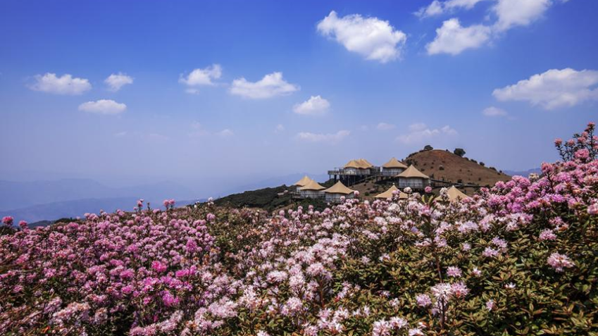 Opening of the 2025 Liupanshui Summer Retreat Season — China’s Cool Capital
