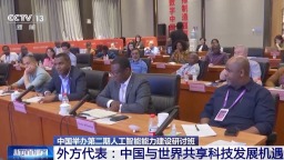 “遠超驚嘆” 外方代表這樣形容中國人工智能技術發展