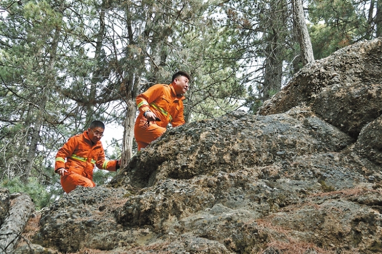 阿拉善:賀蘭山封育保護25年 林草植被覆蓋度達80%_fororder_4307537_an_1762408155505_s