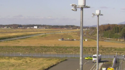 日本岩手縣一機場出現野熊 導致航班暫停起降_fororder_7238b8024e1a443db819393ab18ca01b