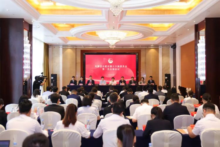 共青團合肥市第十六屆委員會第一次全體會議召開_fororder_640