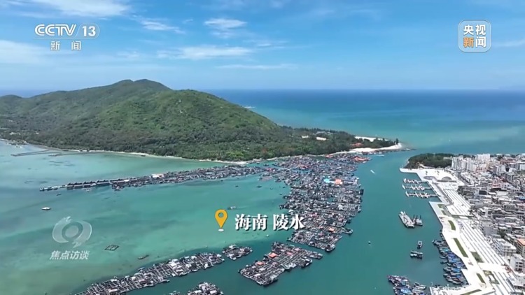 焦點訪談丨保護海洋生態 守好人海和諧的藍色家園