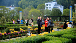 凝聚文明力量  共塑幸福桂東——桂東縣鞏固省級文明城市創建成果紀實