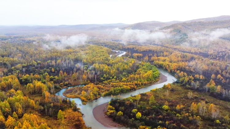 Inner Mongolia's Greater Khingan Range Welcomes "Golden Autumn" as Ecotourism Sees a Boom_fororder_圖片25