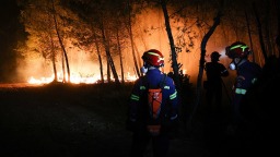 研究顯示希臘野火造成的植被損失致地表溫度急劇上升