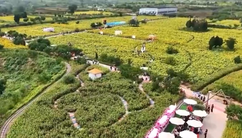 旅遊景點迎假期客流高峰 新場景帶來新體驗