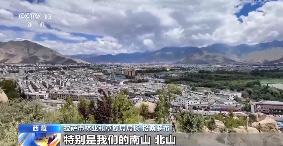 4年栽植苗木1.2億多株 看拉薩高原如何披“綠裝”