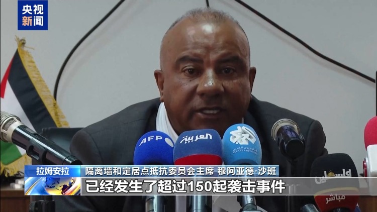 一週超150起襲擊 約旦河西岸橄欖采收季變成“最危險”季節