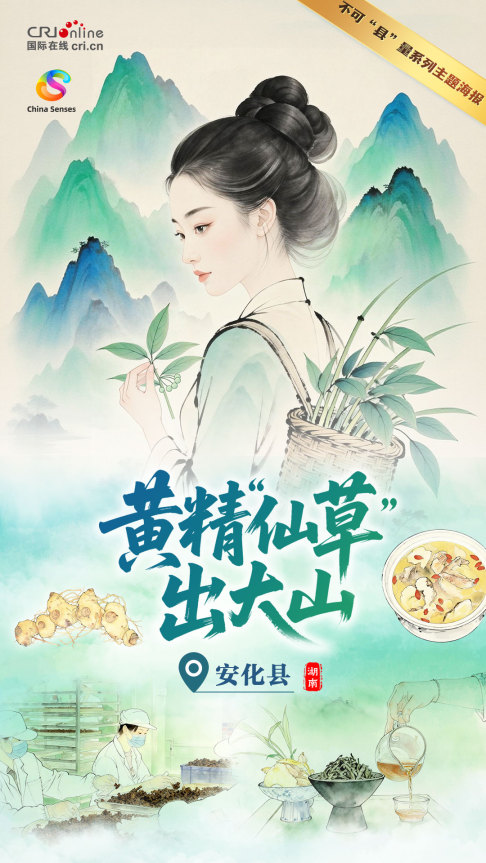 Oh My County ! 不可“縣”量 | 黃精“仙草”出大山_fororder_中文-1080x1920-2(9)