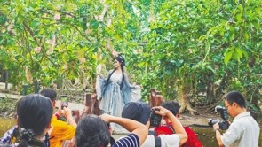 儋州七里村：玉蕊花香引遊人