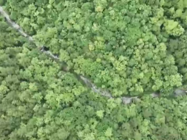 2025年中國林草覆蓋率超56%_fororder_企業微信截圖_20260316160411