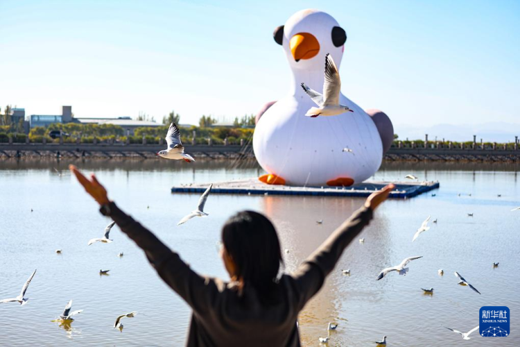 秋日烏海 人鷗同樂_fororder_20251101795fe1fe5c27464893f63c839e055b43_20251101cff2a061a79d4a60977c28a909ea32c2