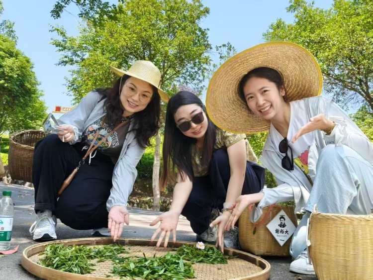 黃山市徽州區：徽韻融古今 文旅綻芳華_fororder_茶文旅圖片2