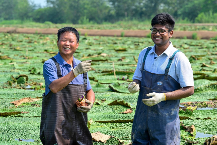 International Student Explores Green Secrets of "Agrophotovoltaics" in Euryale Ferox Fields_fororder_圖片35