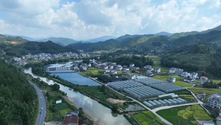 湖南桂東村廚賽事激活産業鏈 高山蔬菜俏銷大市場_fororder_圖片4