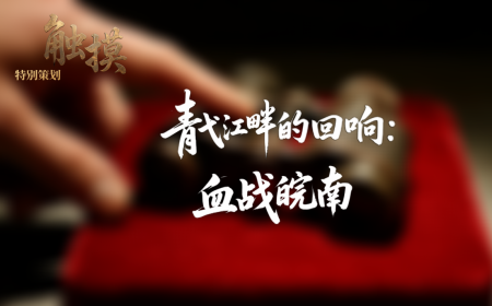 觸摸 | 青弋江畔的迴響：血戰皖南_fororder_圖片3
