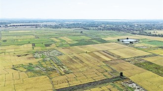 通遼：科技“噸糧田”革命