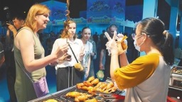 Hainan Travel為何這麼火？
