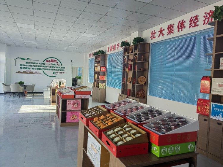 天水秦安魏店鎮：強村公司激活産業新動能_fororder_(2)1