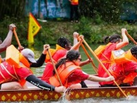 文化觀察：外國人為什麼對劃龍舟越來越“上頭”？