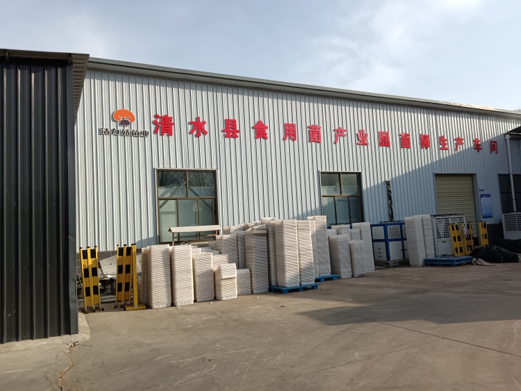 天水清水：白沙鎮“五項舉措” 打造食用菌産業龍頭鄉鎮_fororder_生産車間