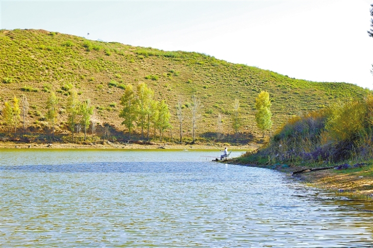 鄂爾多斯：大溝灣披上金色盛裝_fororder_4291562_an_1761630023407_s