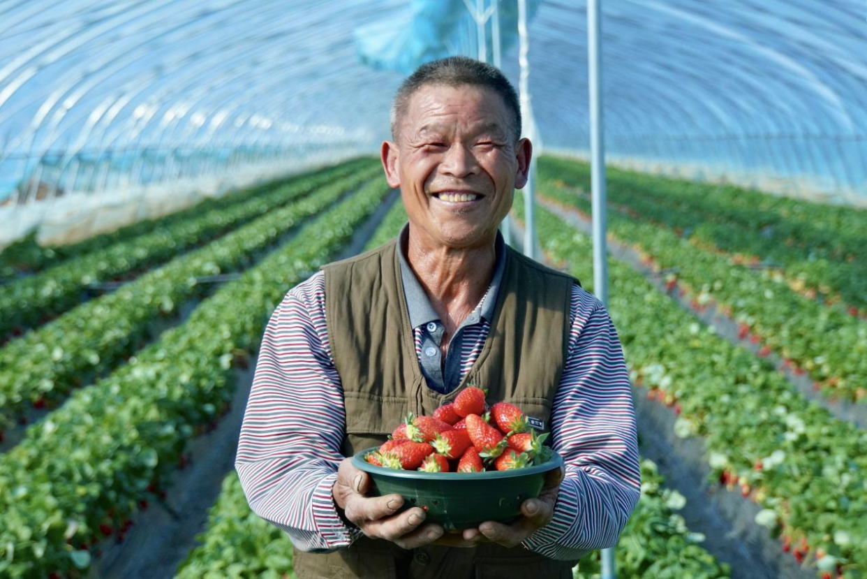 Electric Power Boosts Modern Agriculture and Rural Revitalization_fororder_圖片5