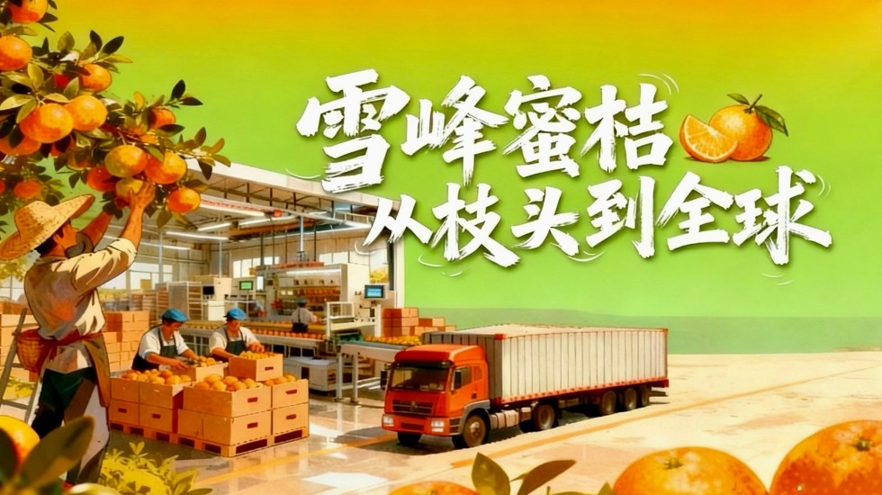 Oh My County ! 不可“縣”量 | 雪峰蜜桔 從枝頭到全球_fororder_微信圖片_20251020114910_153_618