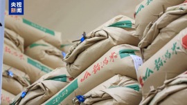 日本高官“家裏米多到能賣”言論遭批後火速致歉：深表遺憾