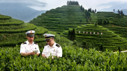 圖片默認標題