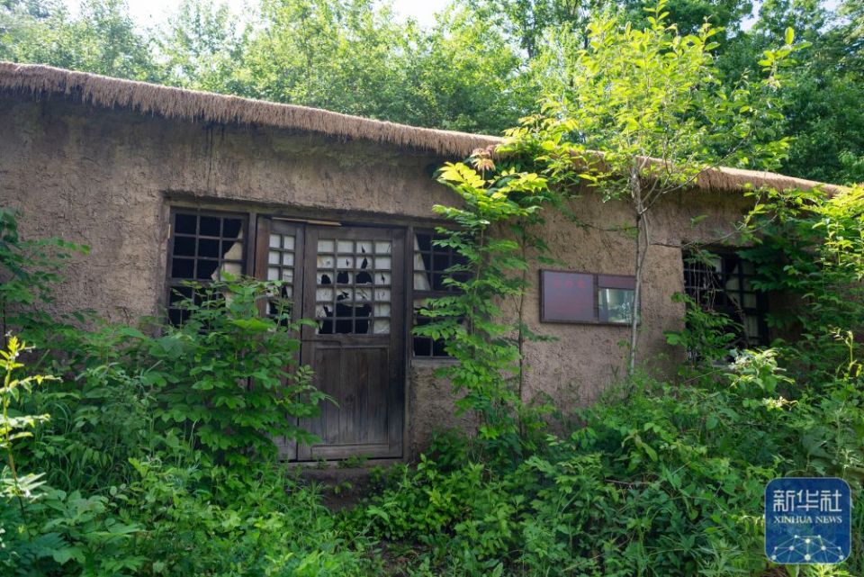 新華全媒＋丨“一座七星山 半部抗聯史”——探訪七星砬子抗聯密營遺址