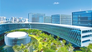 良法善治護航自貿港建設成型起勢